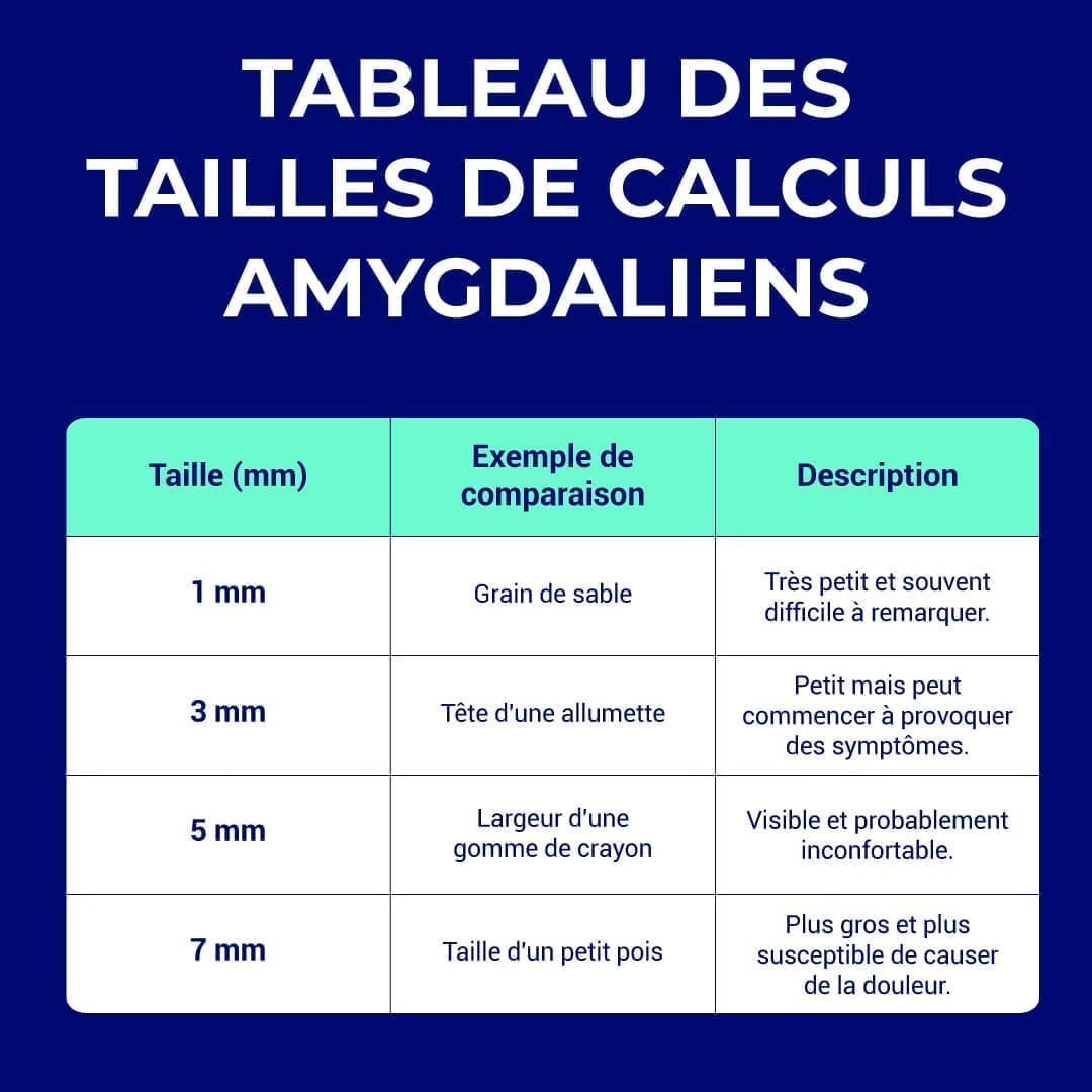 tableau des tailles de caséum